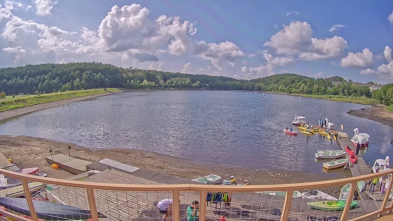 livecamera7